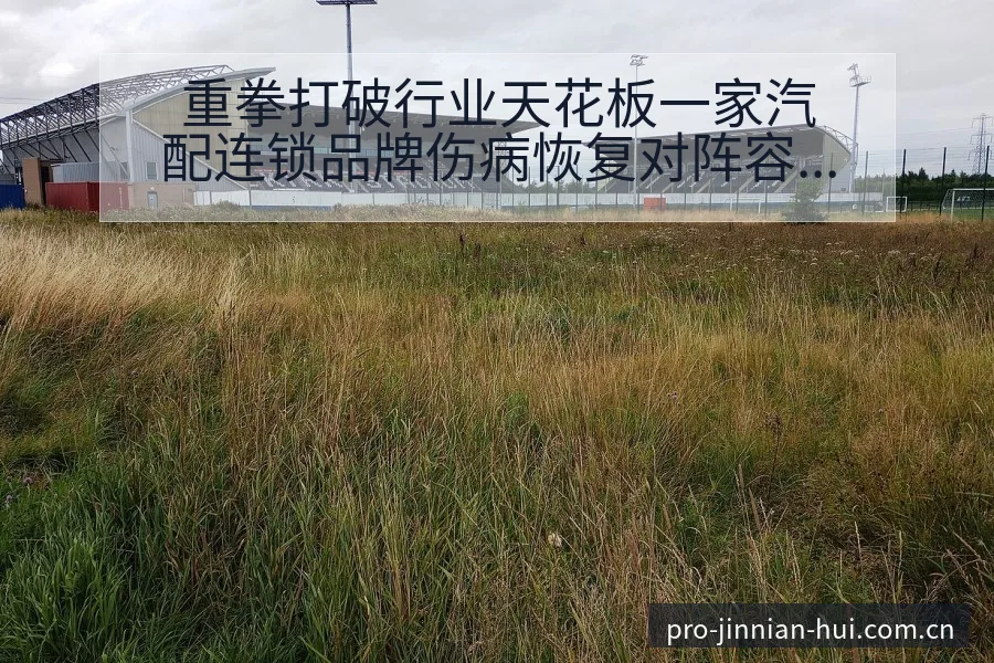 重拳打破行业天花板一家汽配连锁品牌伤病恢复对阵容结构影响 - 金年会官方网站